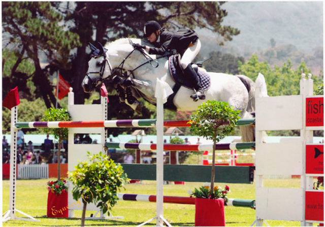 Capital Capriccio - Holstein Showjumping Stallion